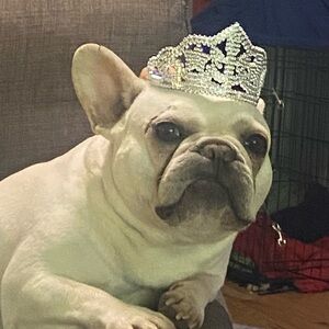 Meet your Posher, Carter